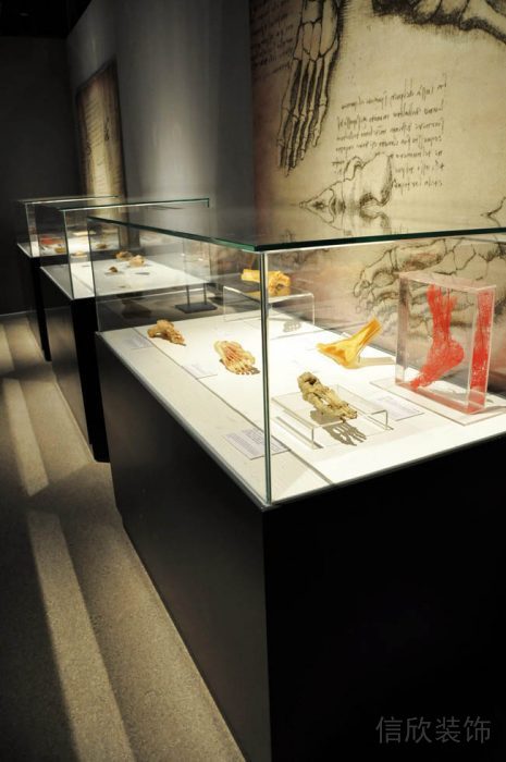 深圳博物館裝修設(shè)計(jì)