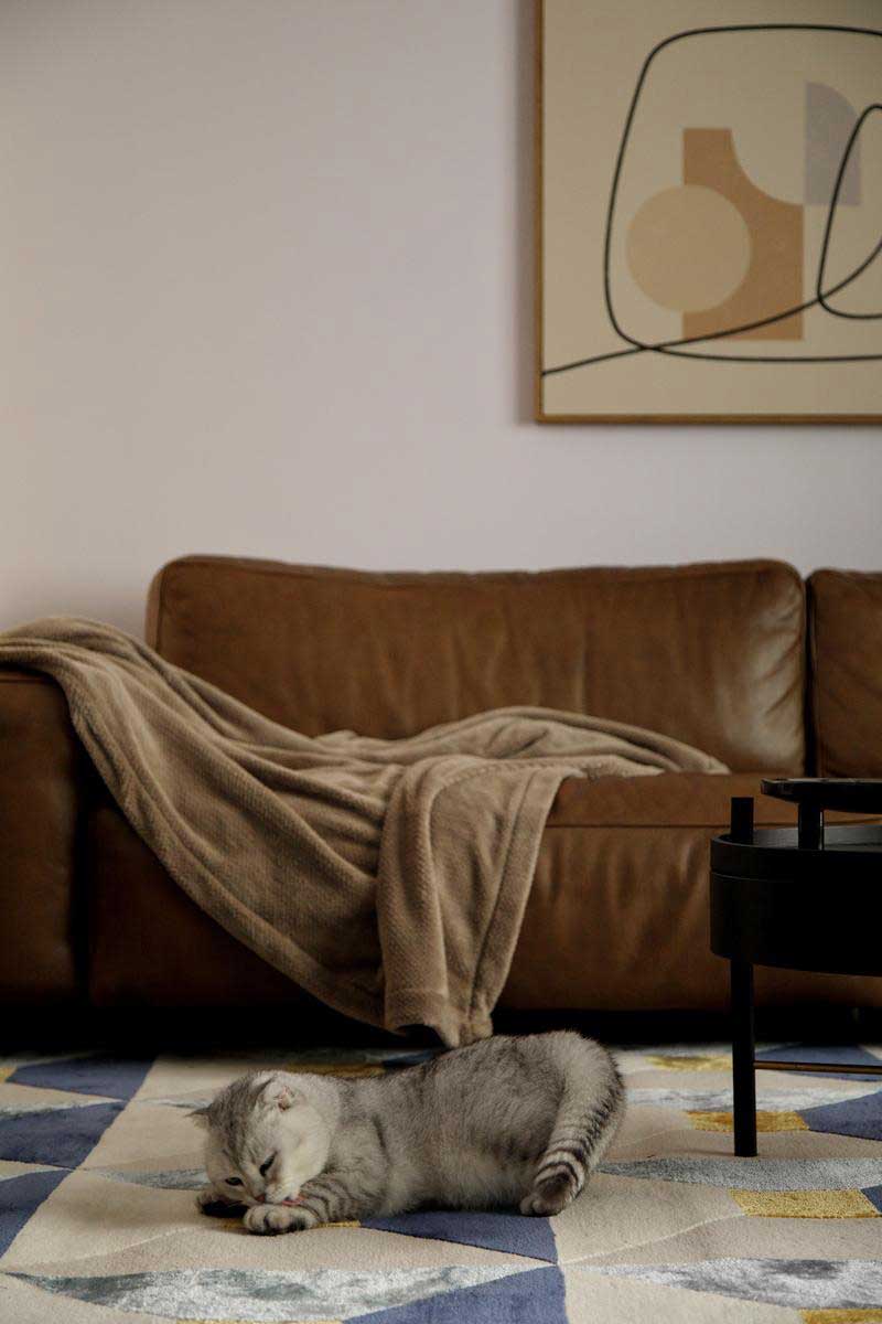 深圳龍崗區美式復古風家裝裝修實景圖客廳沙發 深圳龍崗區美式復古風家裝裝修實景圖客廳沙發