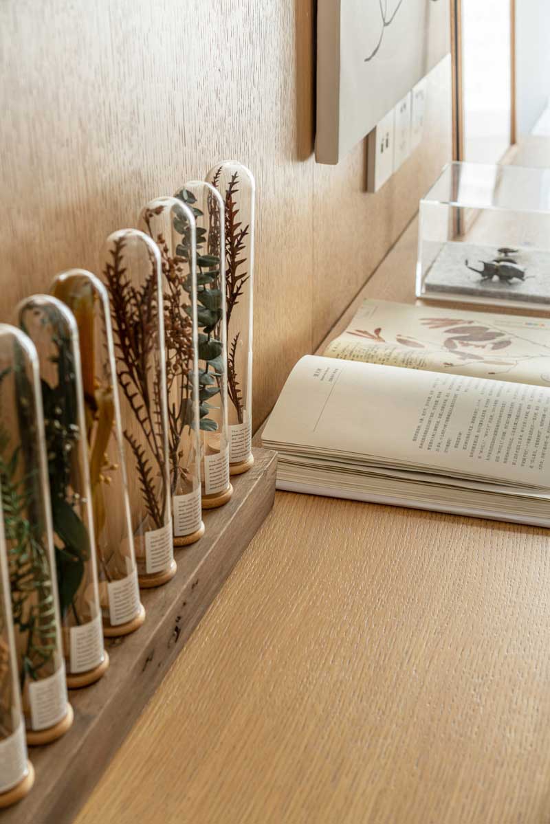 深圳南山北歐風(fēng)格家裝裝修設(shè)計開放式書房飾品 深圳南山北歐風(fēng)格家裝裝修設(shè)計開放式書房飾品