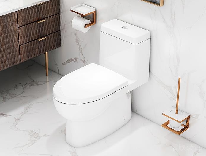 科勒坐便器場景展示圖1 科勒坐便器場景展示圖1