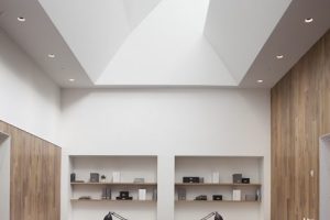 深圳寶安匯聚創(chuàng)新園1000平方米淺色調(diào)原木簡(jiǎn)約風(fēng)辦公室裝修案例辦公區(qū)純白色天花