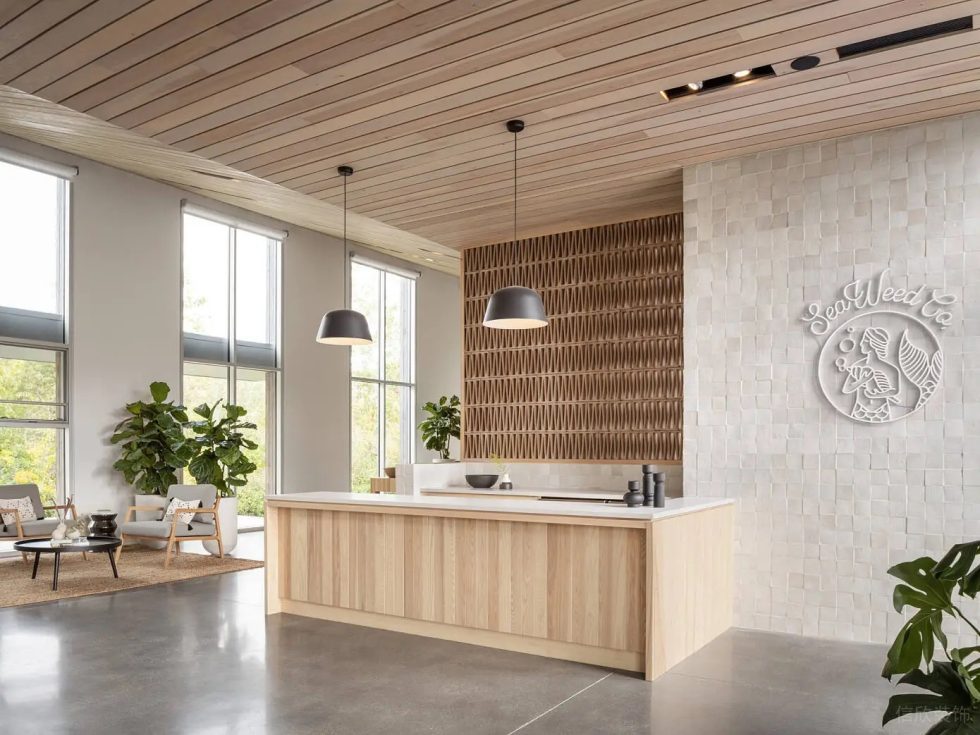 深圳市福田區華強原木風海藻品牌 SeaWeed Co旗艦店裝修設計-前臺 深圳市福田區華強原木風海藻品牌 SeaWeed Co旗艦店裝修設計-前臺