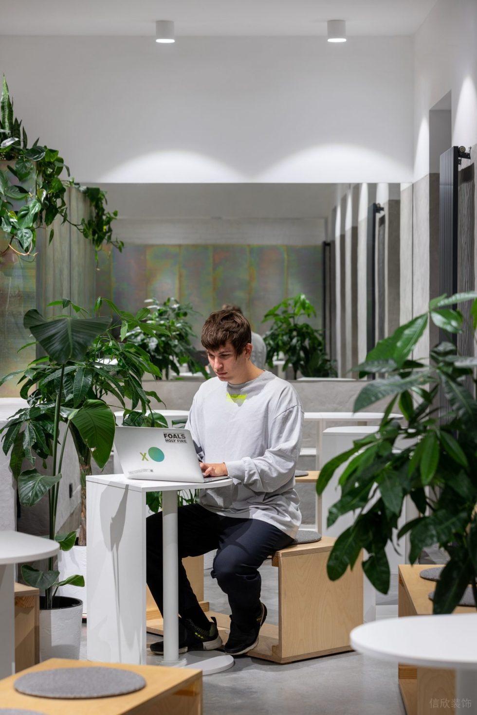 現(xiàn)代極簡風(fēng)咖啡廳自然綠意景觀效果展示圖